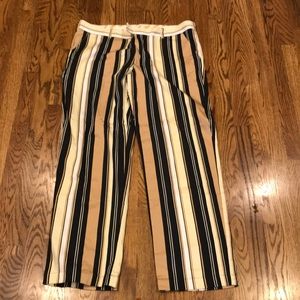 Loud mouth golf pants